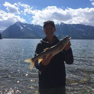 Meet your Posher, Jackson